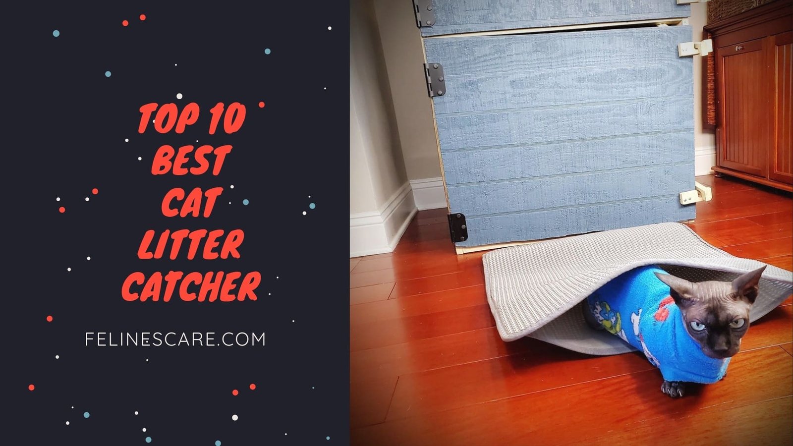 Top 10 Best Cat Litter Catcher [Updated 2022]