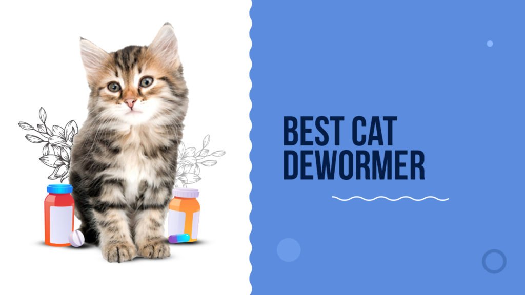 Best Cat Dewormer