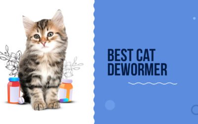 6 Best Cat Dewormers To Buy In 2022