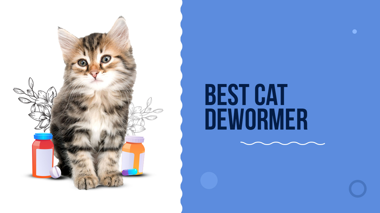 best liquid cat dewormer