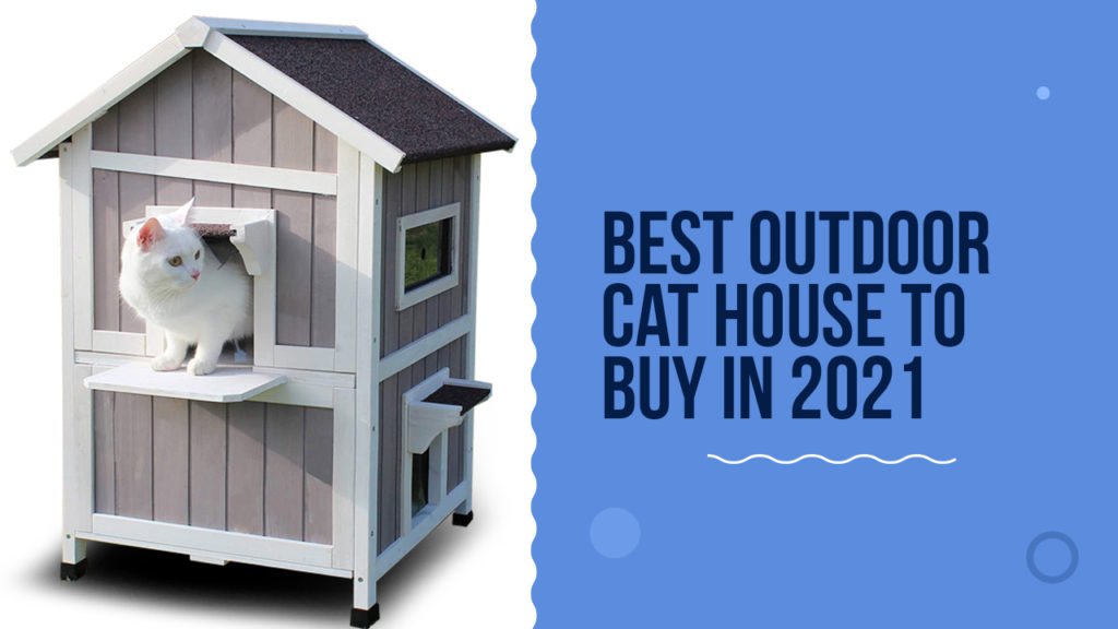 Best outdoor cat house to buy in 2021