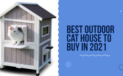 10 Best Outdoor Cat House To Buy