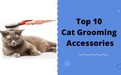 Top 10 Best Cat Grooming Accessories- Make Your Feline Friend Stylish!