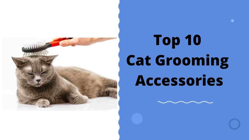 Top 10 Best Cat Grooming Accessories Top Picks