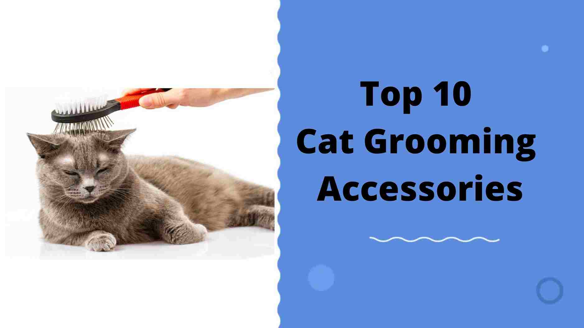 Top 10 Best Cat Grooming Accessories Top Picks