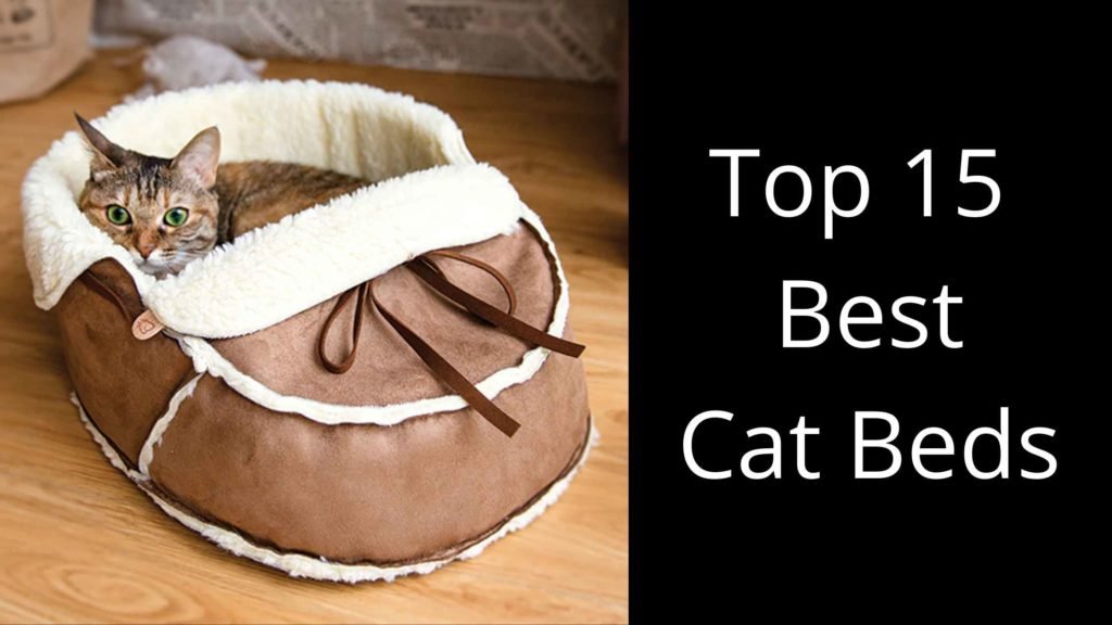 Top 15 Best Cat Beds