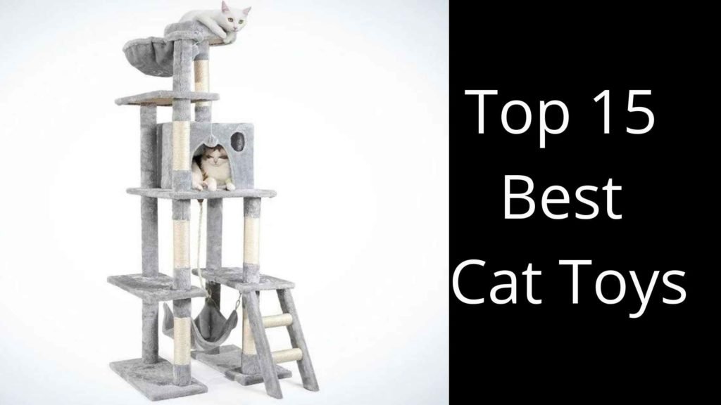 Top 15 Best Cat Toys