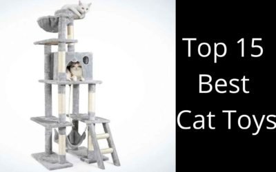 Top 15 Best Cat Toys- Toys Your Cat Loves