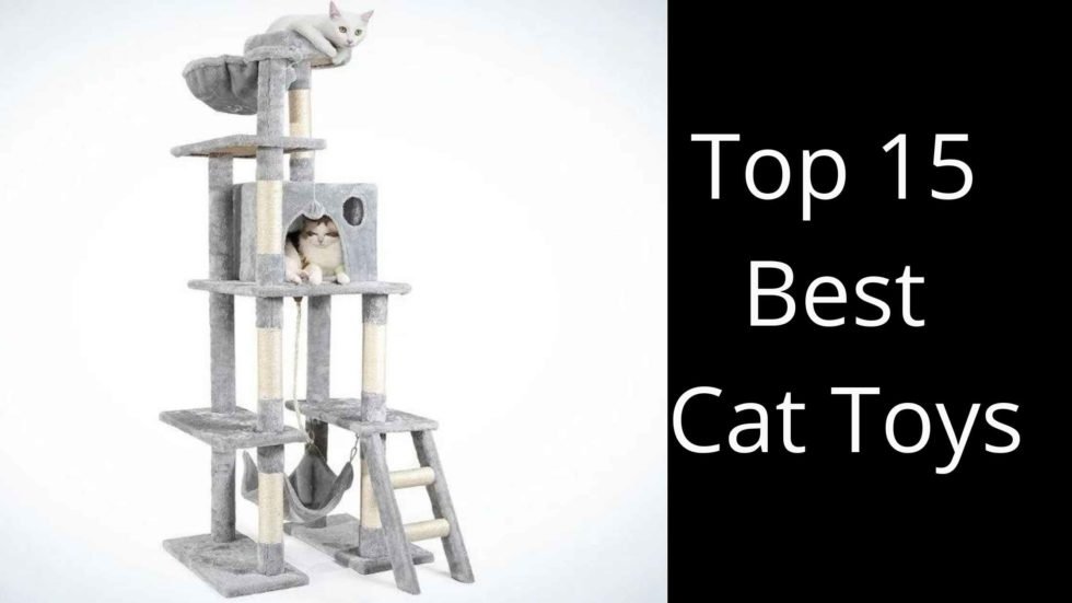 Top 15 Best Cat Toys Interactive Toys For Cats!!!