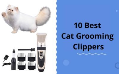 10 Best Cat Grooming Clippers- Best Grooming & Matted Fur Removal Tools
