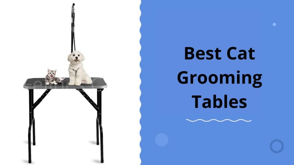 cat grooming table