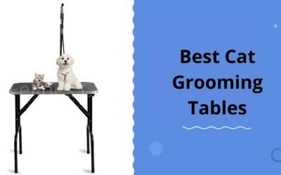 10 Best Cat Grooming Tables – Our Recommendations and Buying Tips!