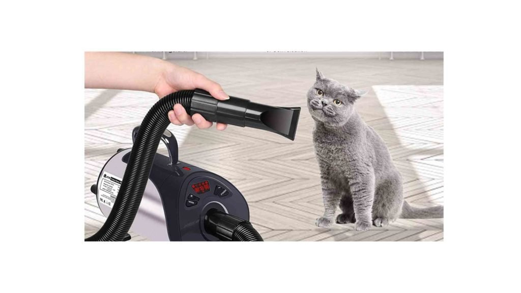 professional cat hair dryer
