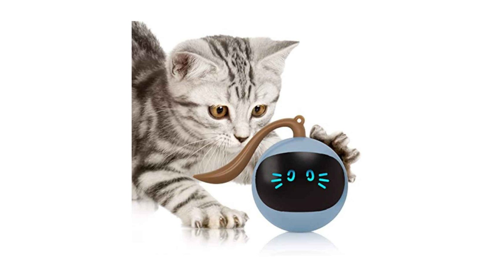 Fofos cat toys
