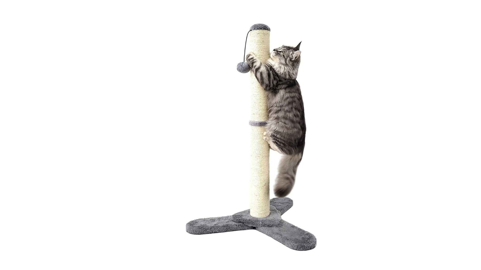 paws cat toy