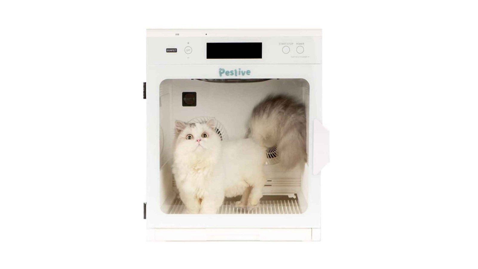 peslive cat dryer