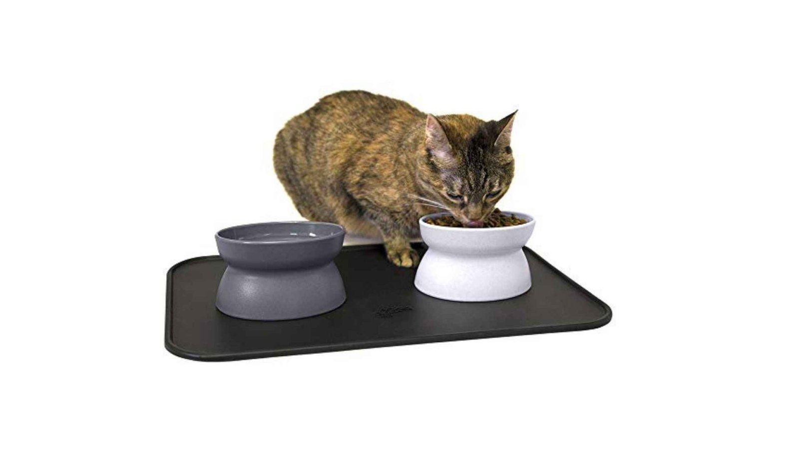 cat-water-bowl